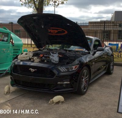 14th Annual Halloween Classic Car Show photo