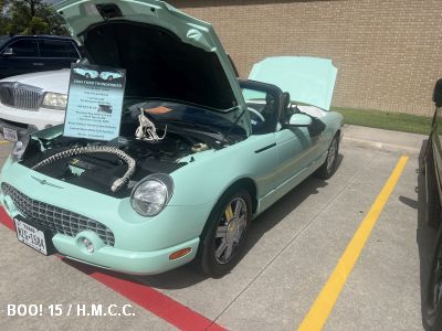 15th Annual Halloween Classic Car Show photo
