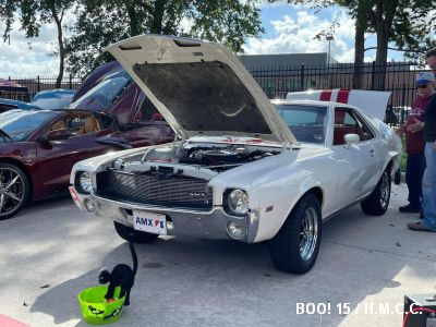 15th Annual Halloween Classic Car Show photo