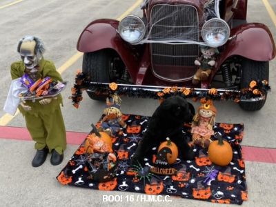16th Annual Halloween Classic Car Show photo