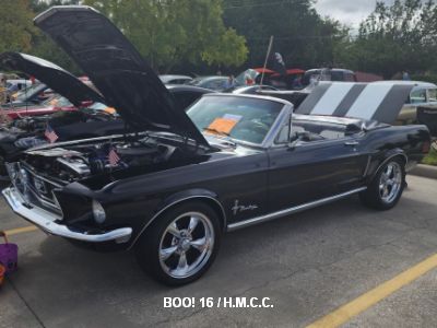 16th Annual Halloween Classic Car Show photo