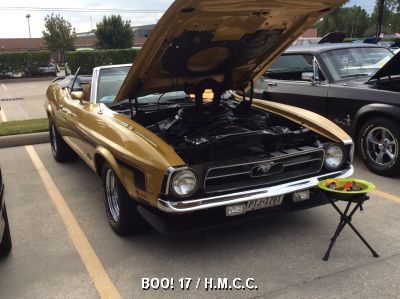 17th Annual Halloween Classic Car Show photo