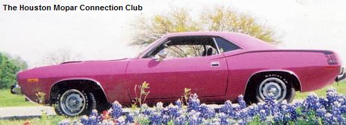 HMCC trophy winner Cuda